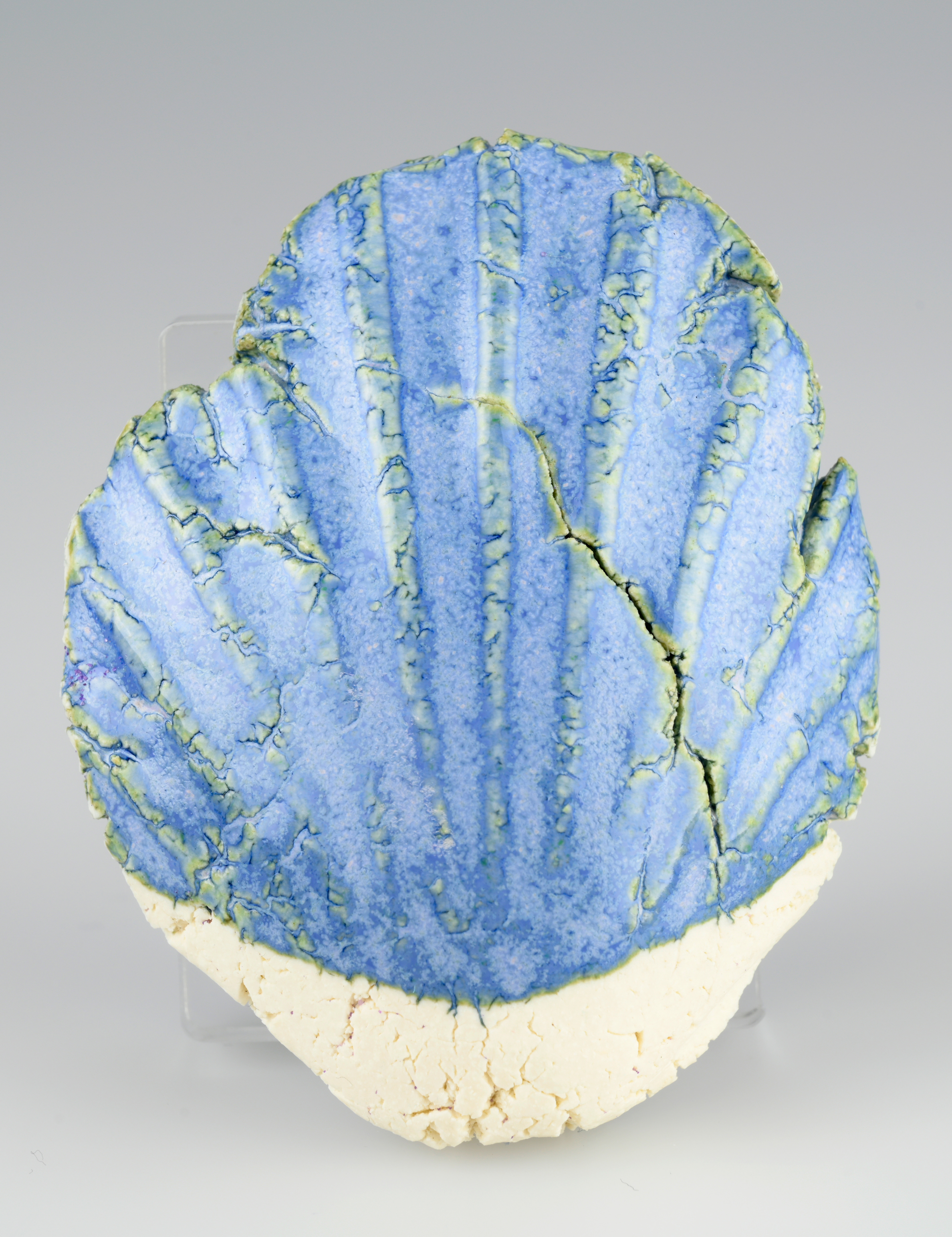 Shell III (Ceramic) 6 x 2 x 7cm (2024)