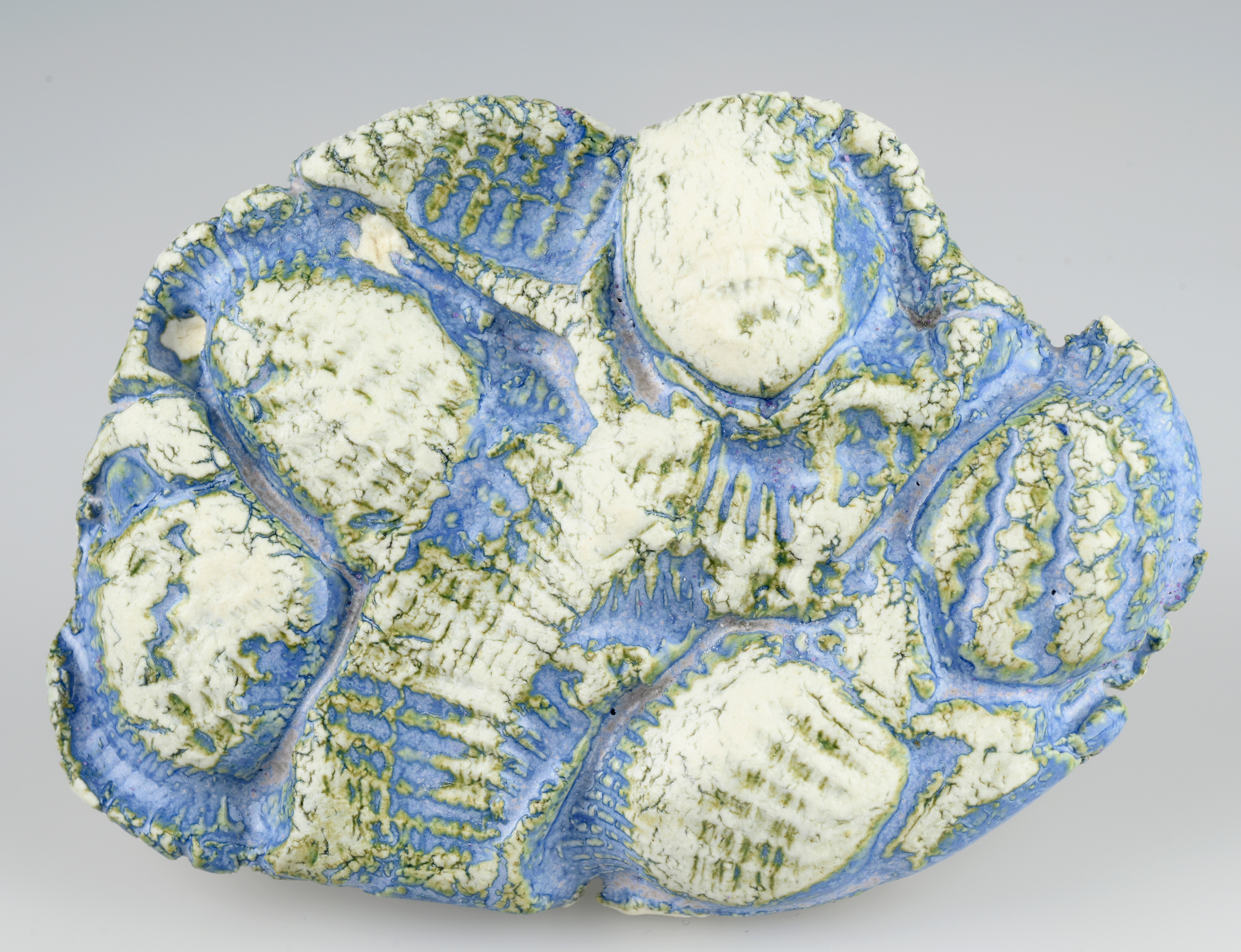 Shell II (Ceramic) 10 x 2 x 7cm (2024)