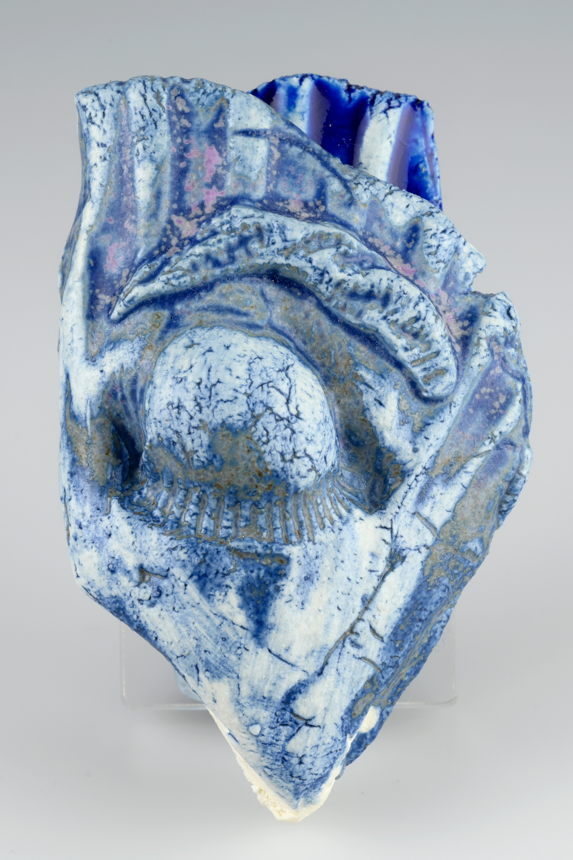 Shell, fragment I (Ceramic) 6 x 4 x 9cm (2024)