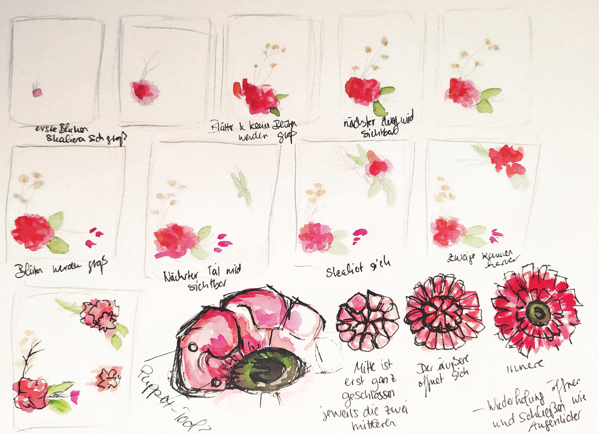 Storyboard THE INNER LIFE OF DELUSION, 2021
