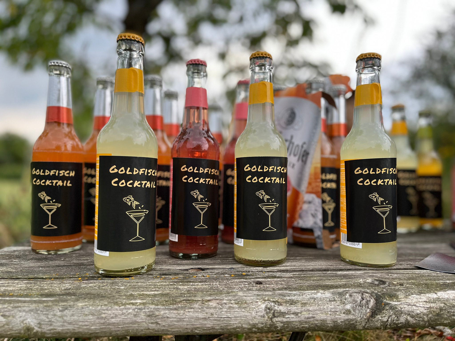 Auftritt Projekt Vielfalt 2022