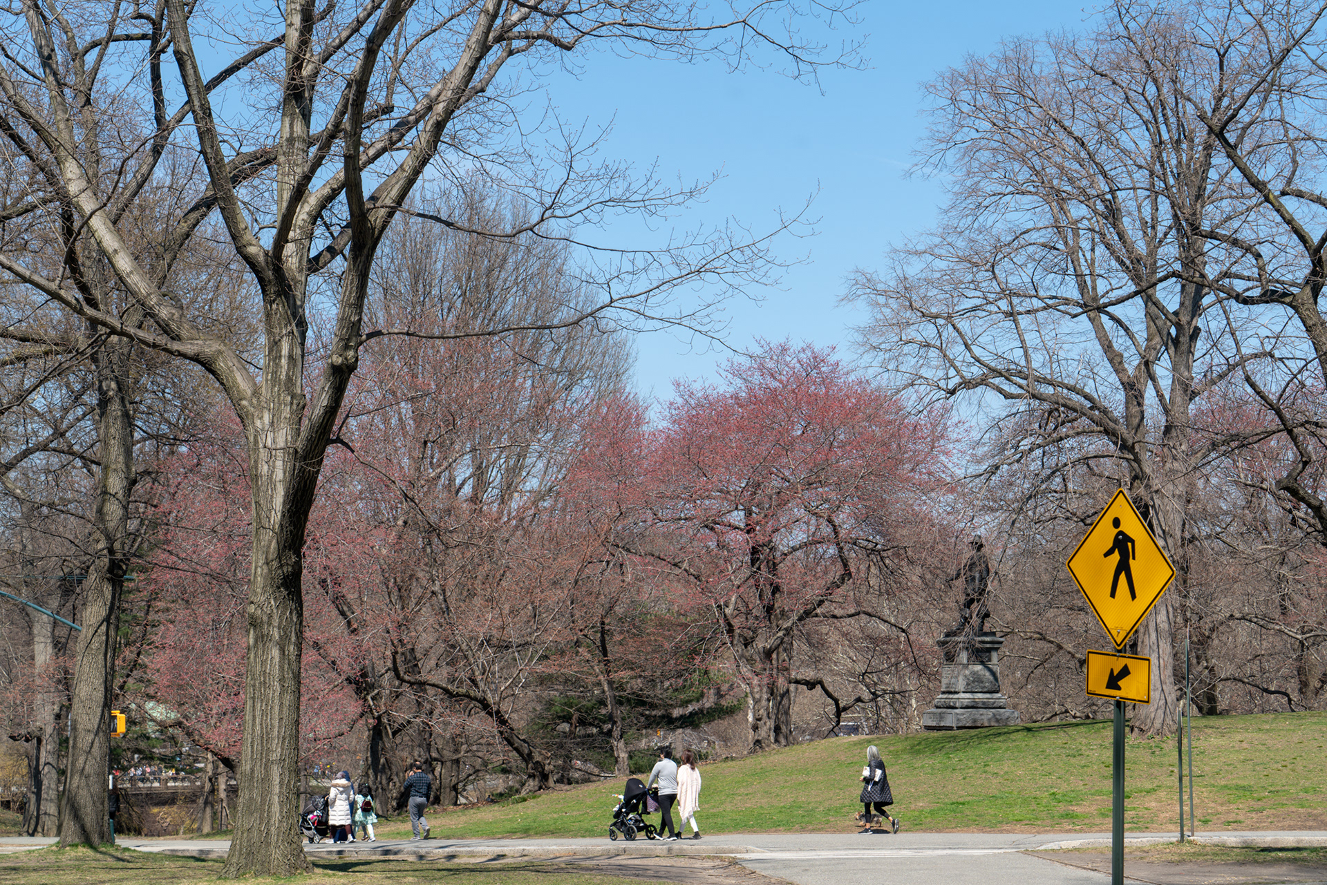 Central Park