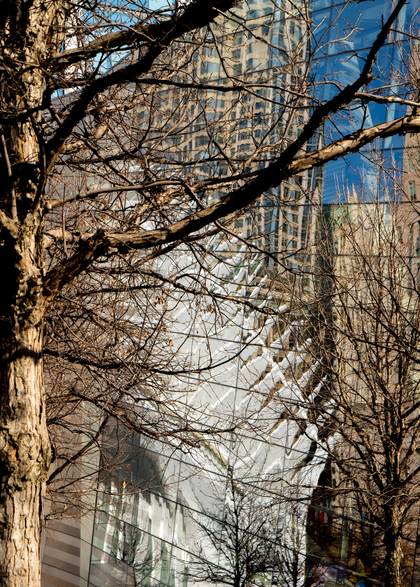 Ground Zero