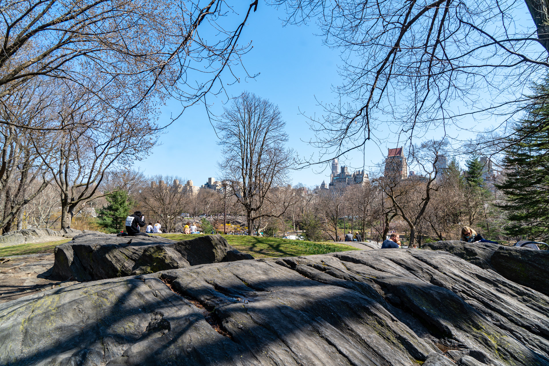 Central Park