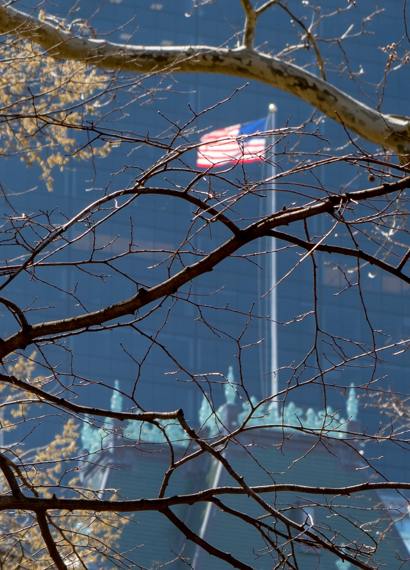 Central Park