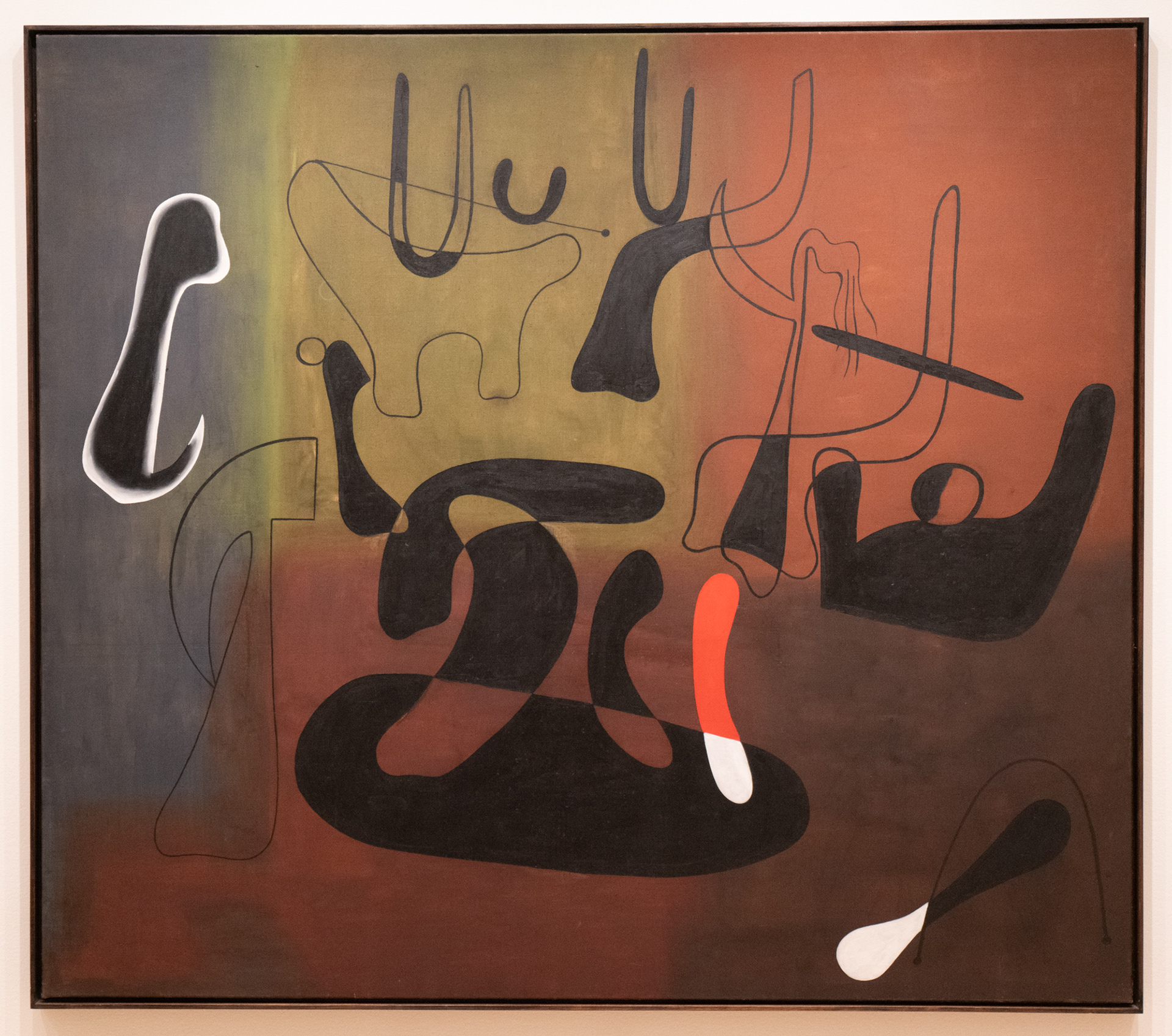 Moma