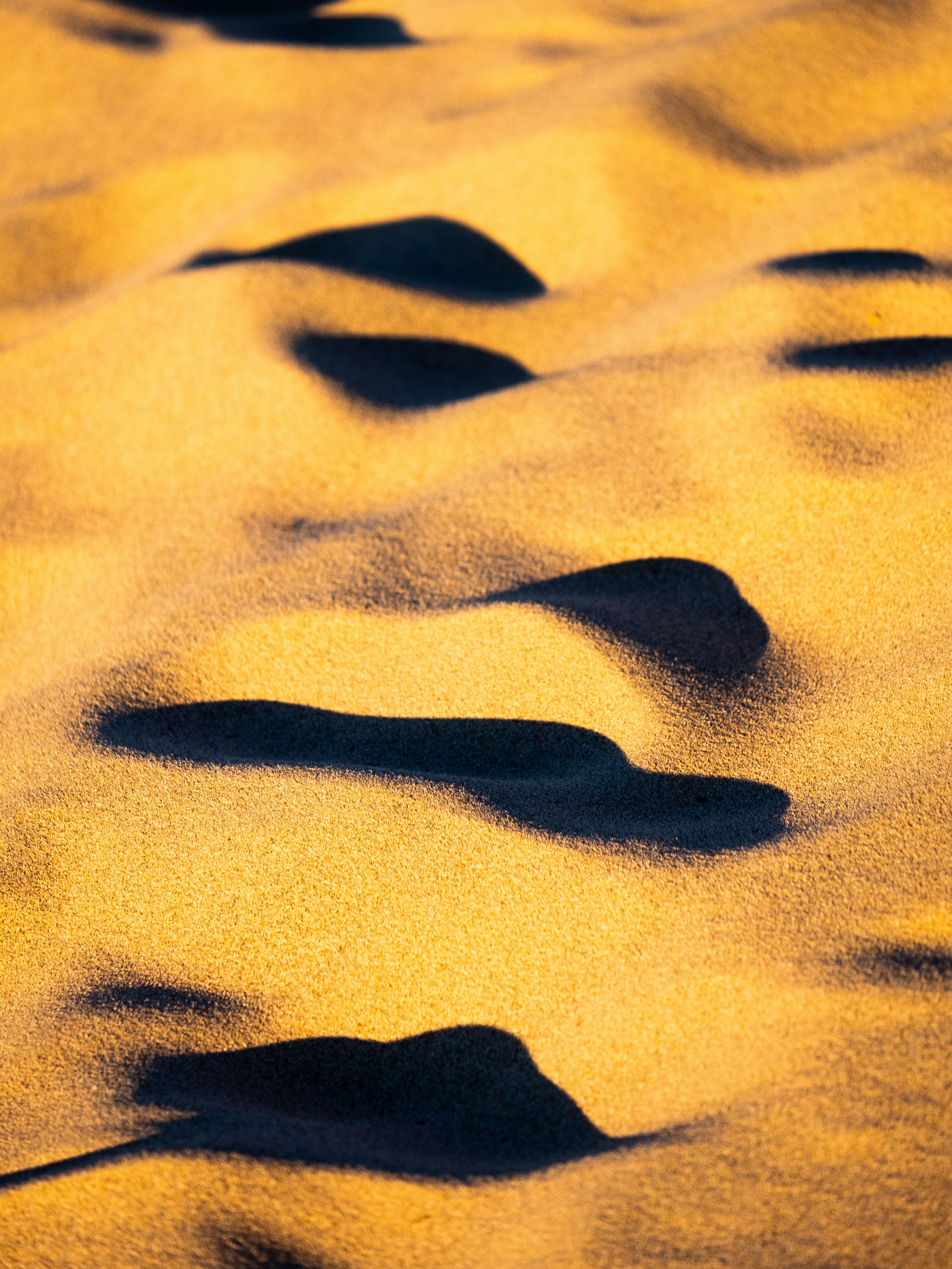 Mesquite Flat Sand Dunes, Death Valley