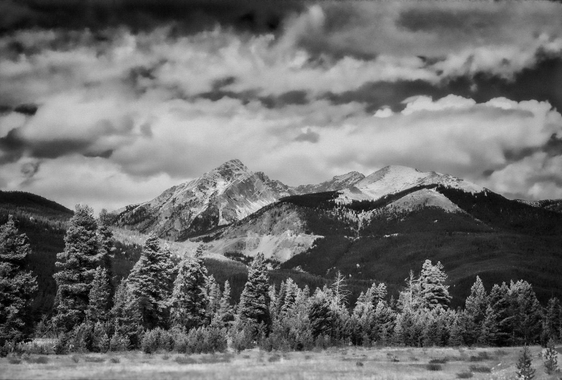 Kodak T-max 100 Film