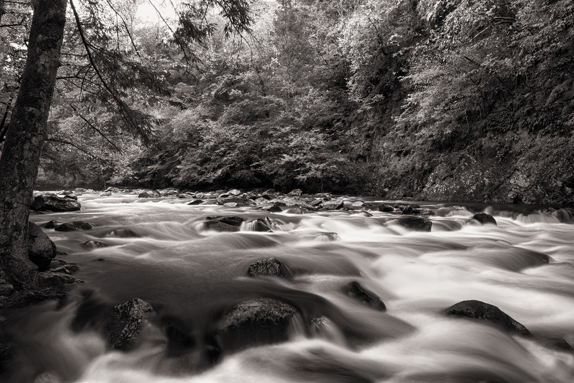 Little Pigeon River, TN