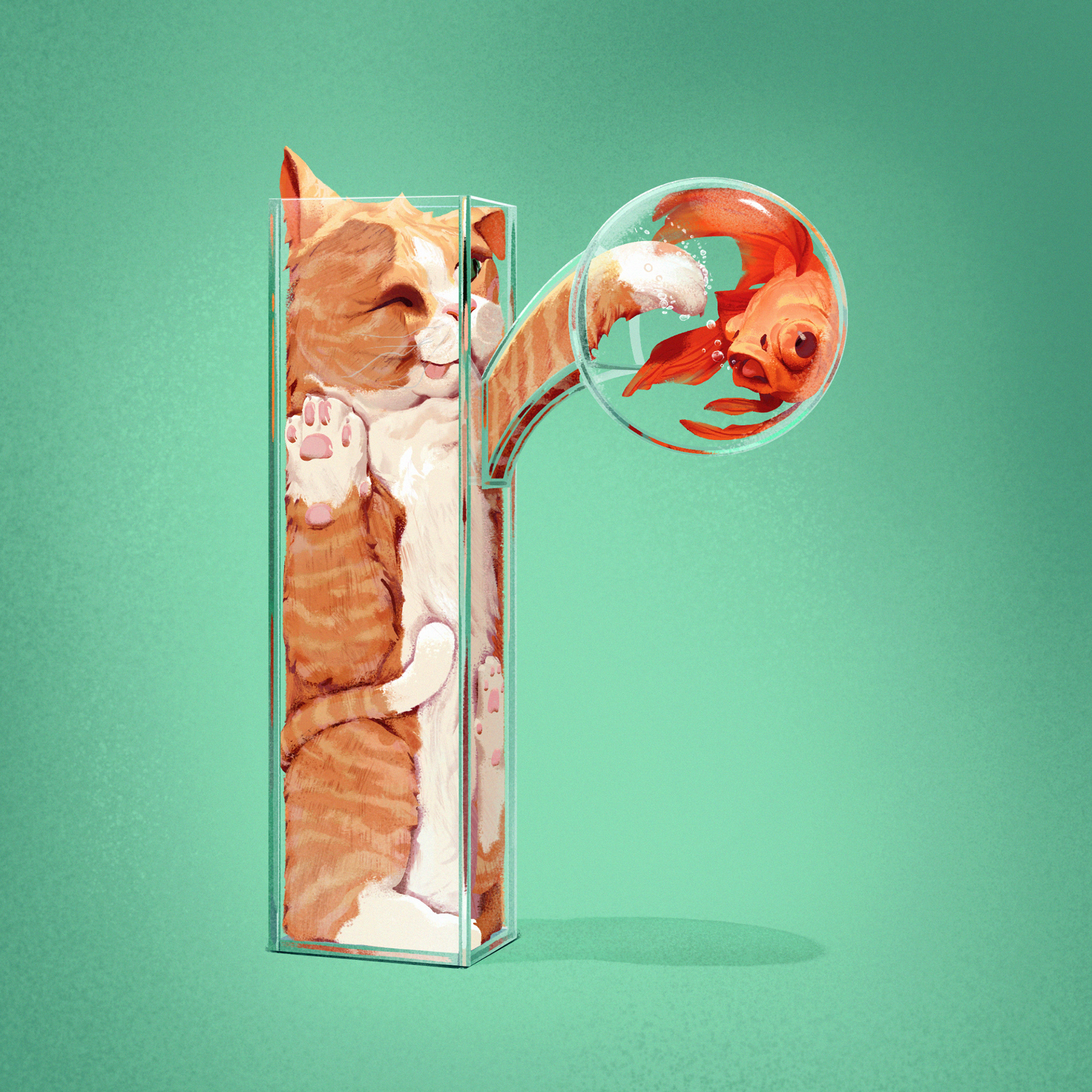 Cats 'r' liquid