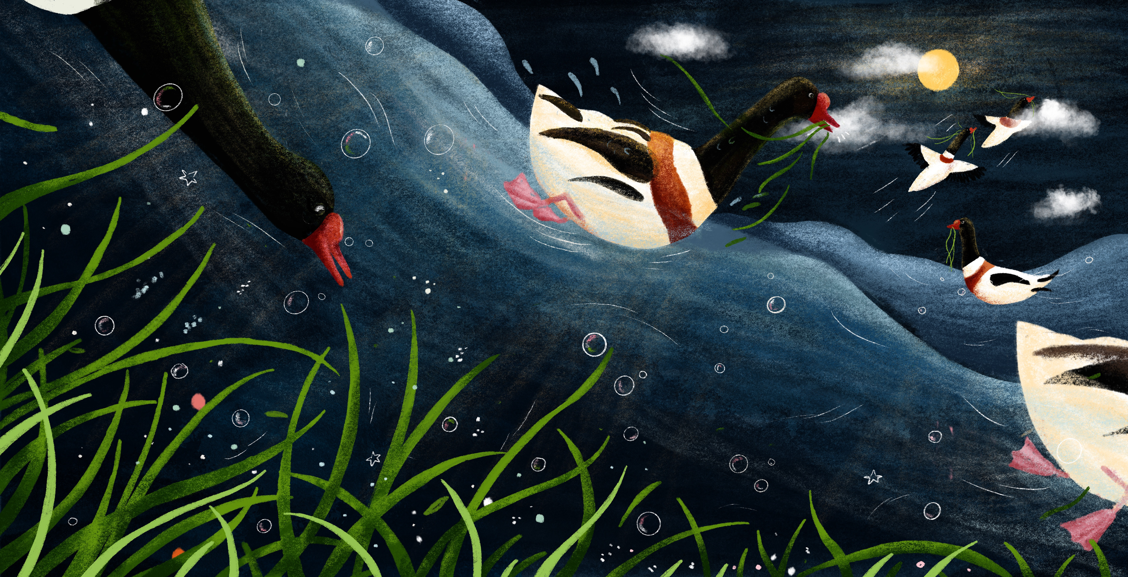 illustration du livre " Ce soir on danse" aux éditions Cipango