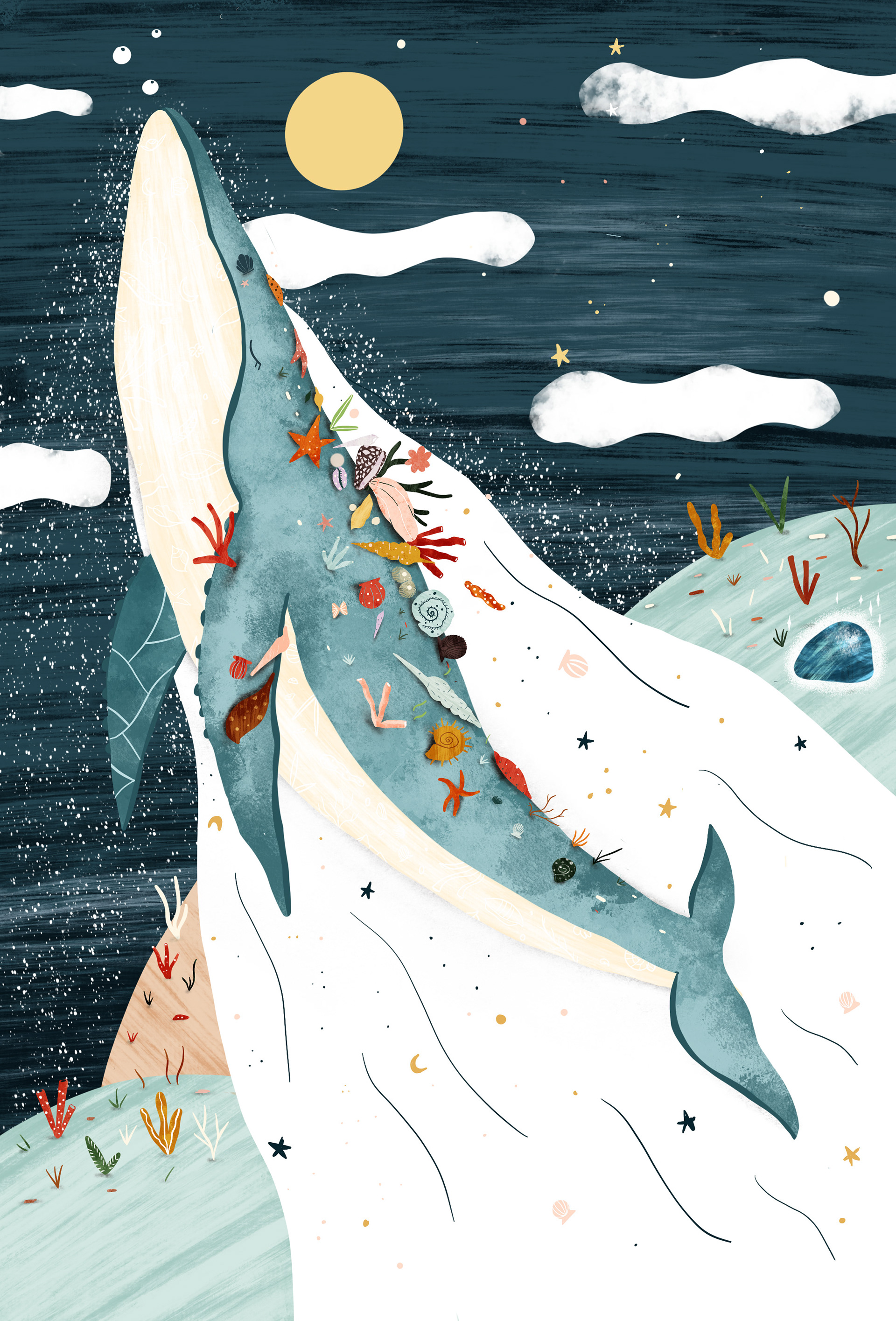 Baleine - oracle edition Larousse