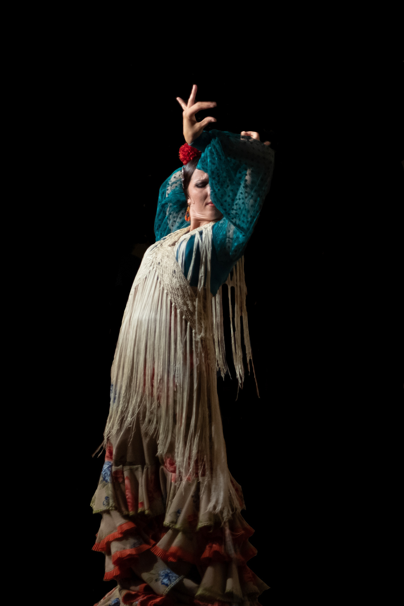 Flamenco Malaga 01