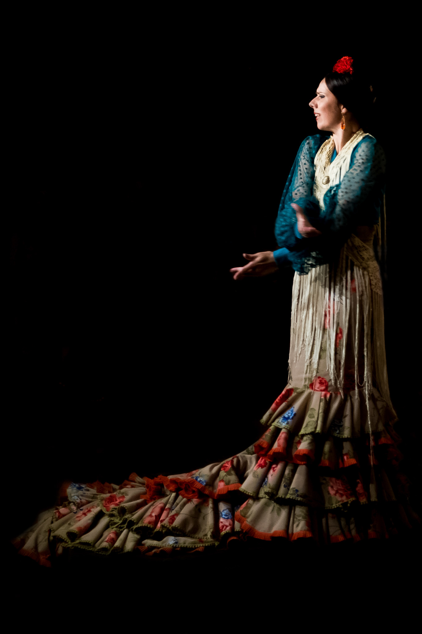 Flamenco Malaga 06