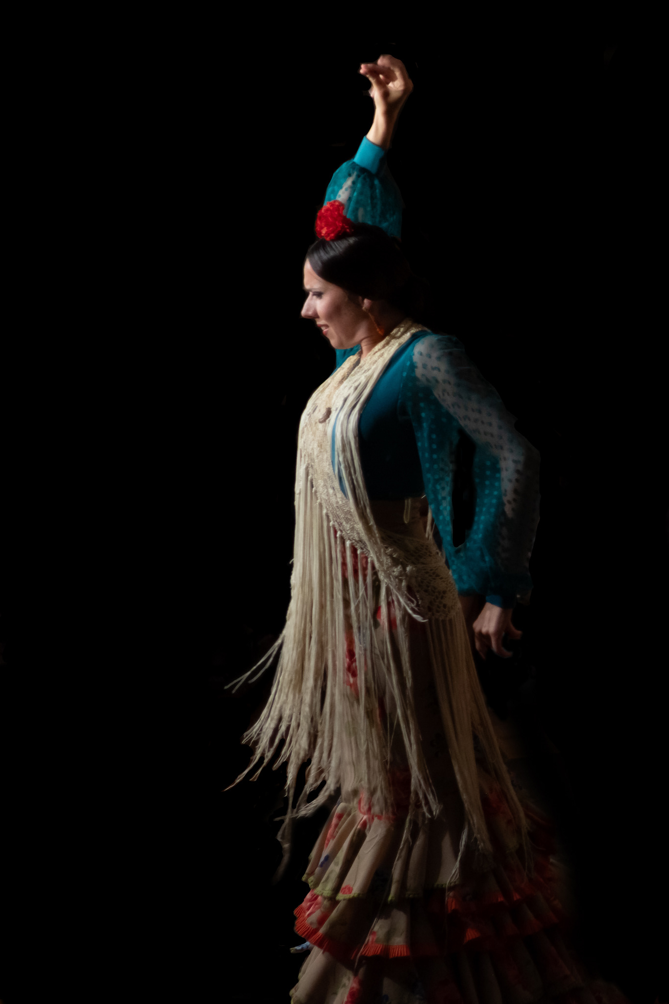 Flamenco Malaga 10