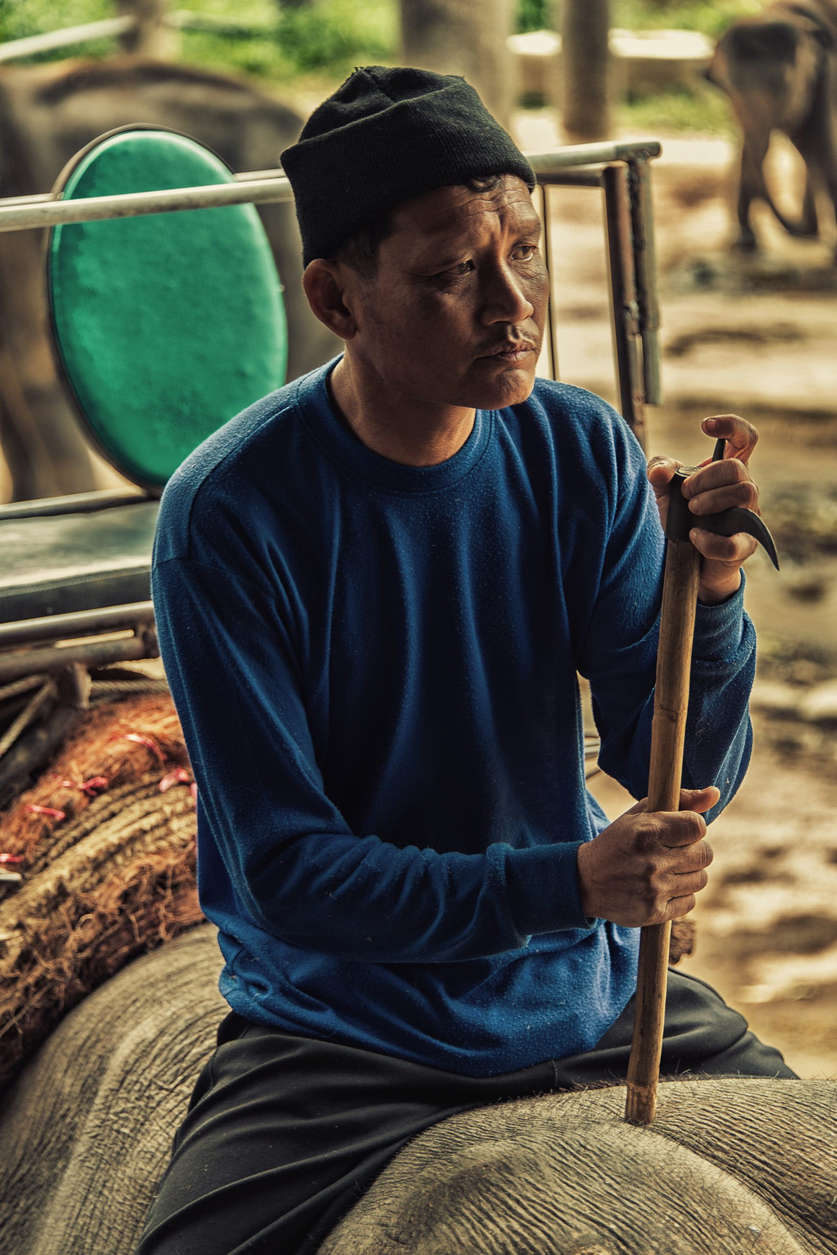 Mahout - Thailand