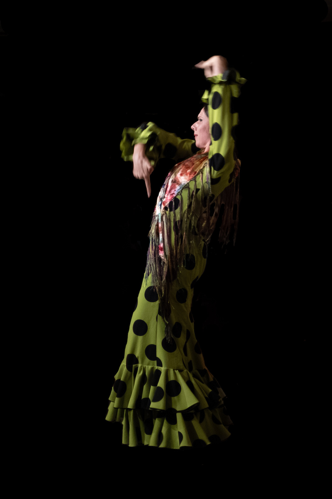 Flamenco Malaga 14