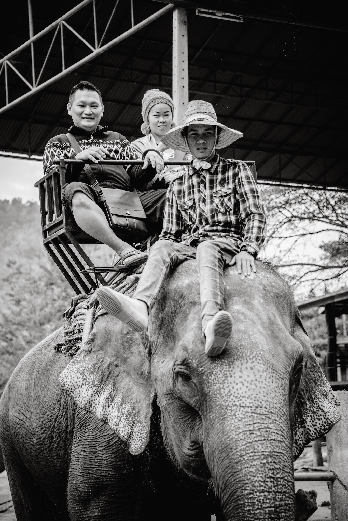 Mahout und Touristen