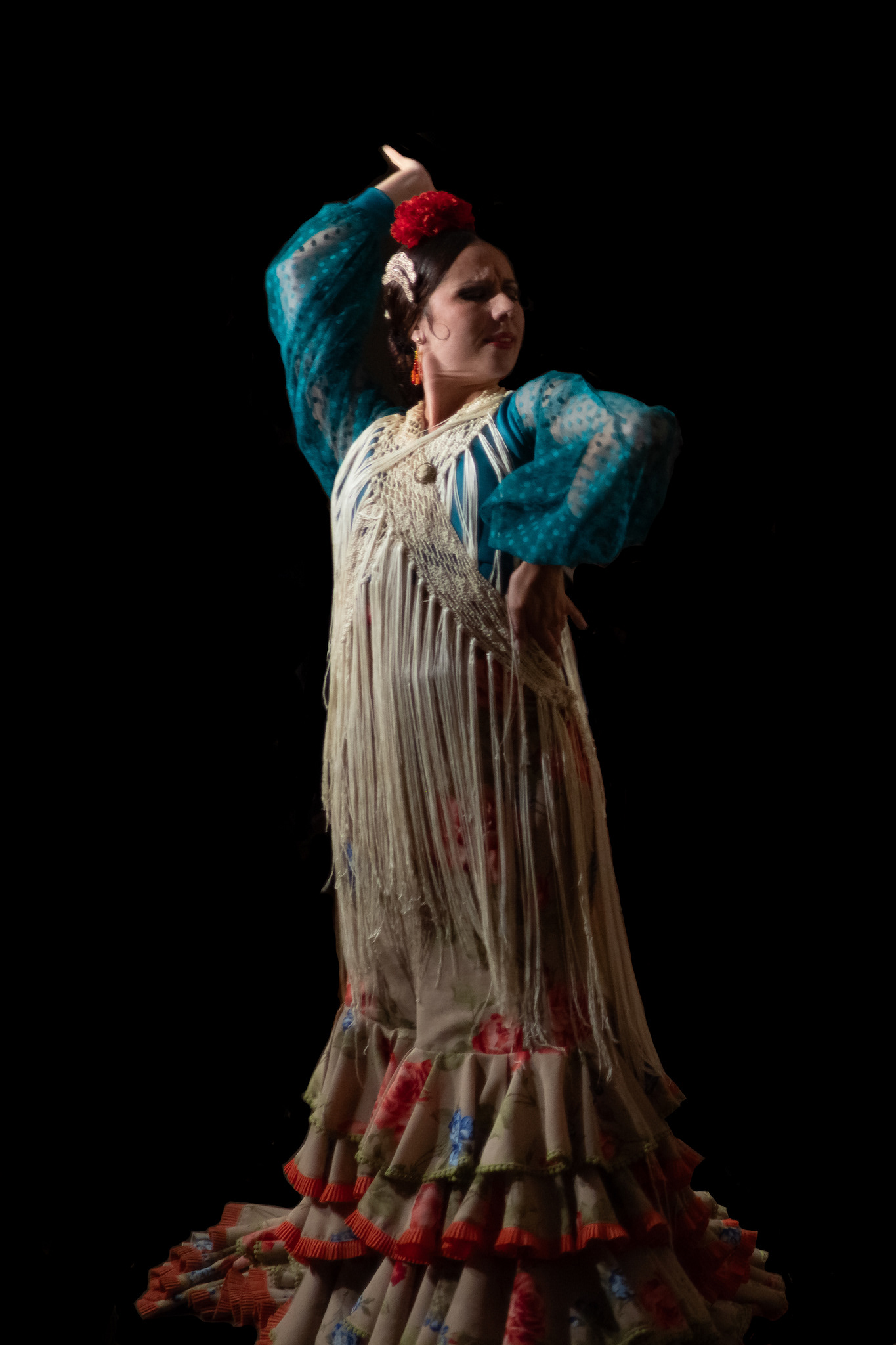 Flamenco Malaga 11