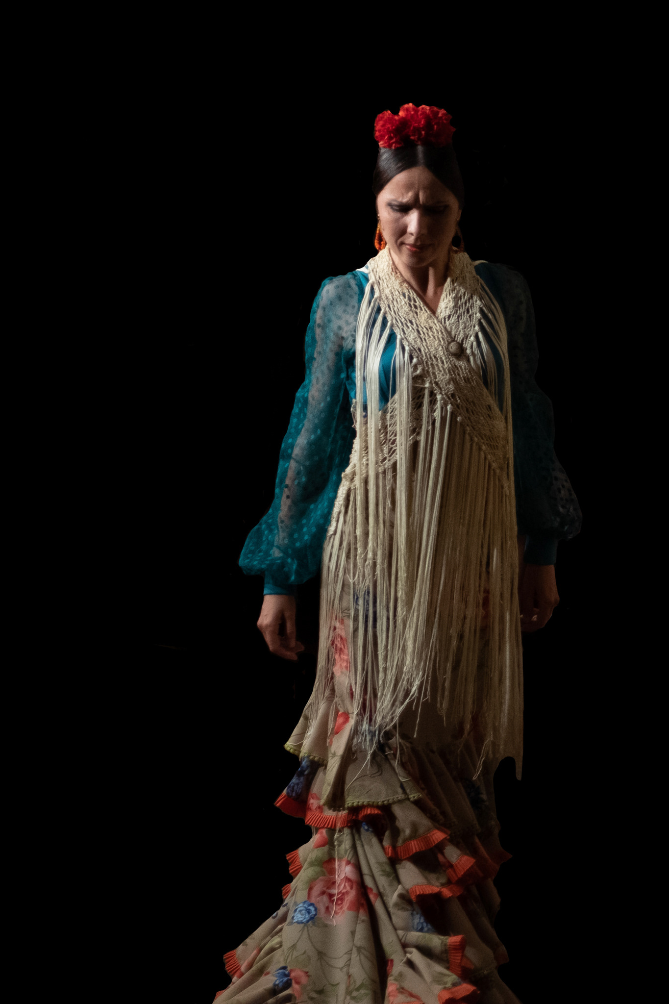 Flamenco 04