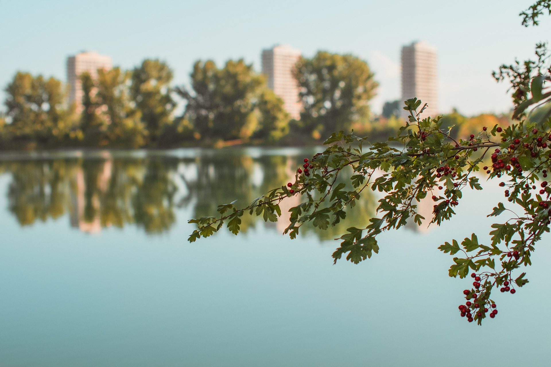 Ludwigshafen_02
