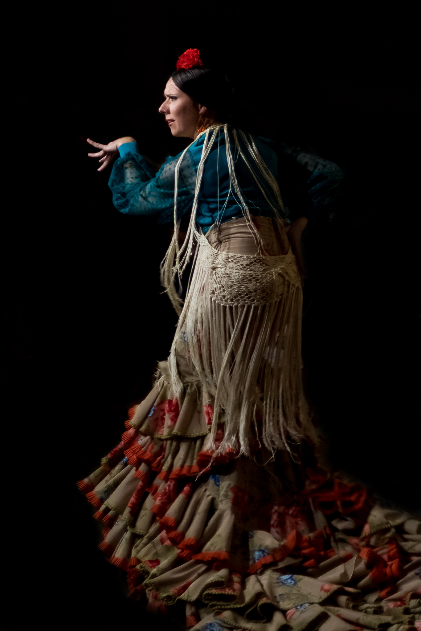 Flamenco 01