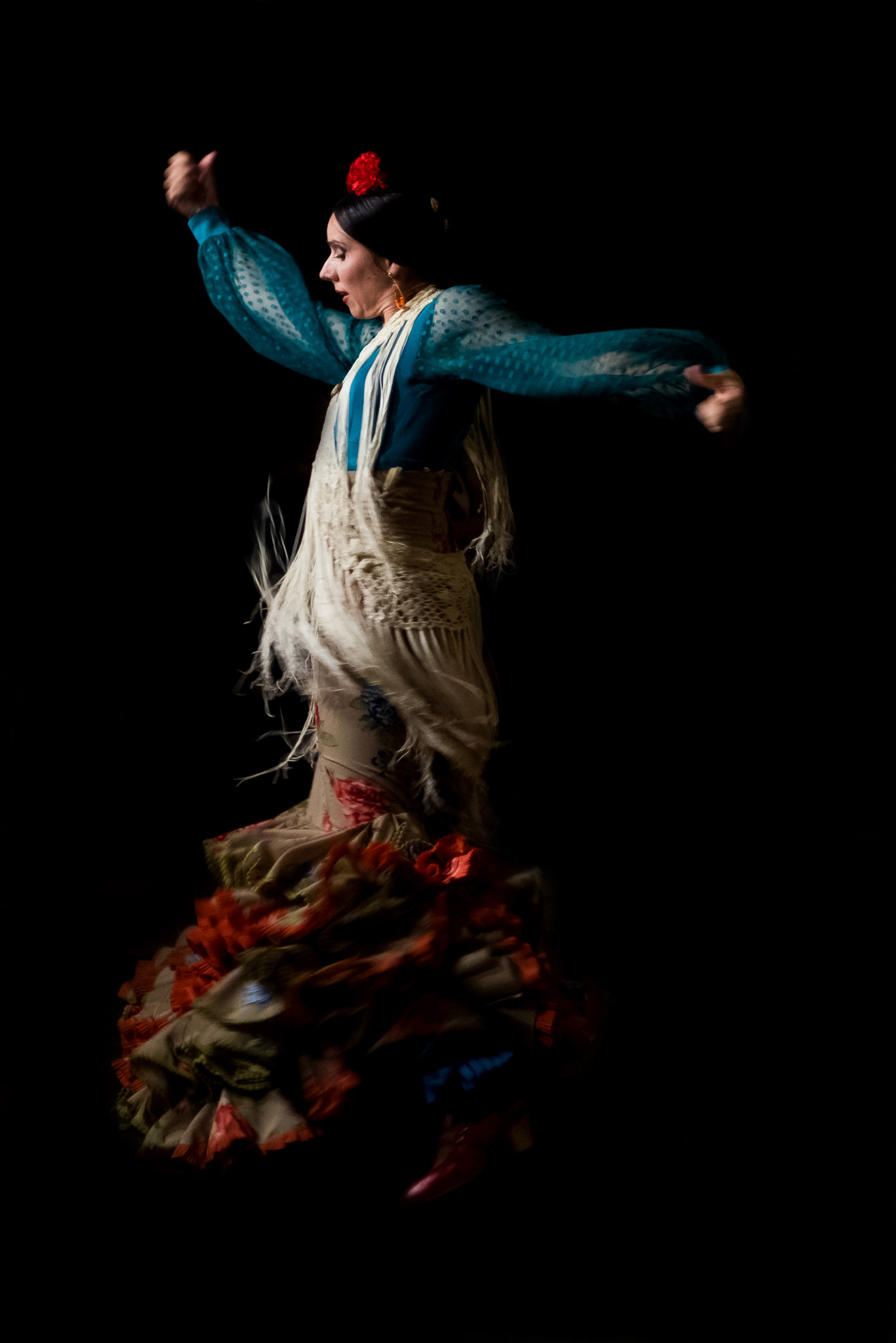 Flamenco 02