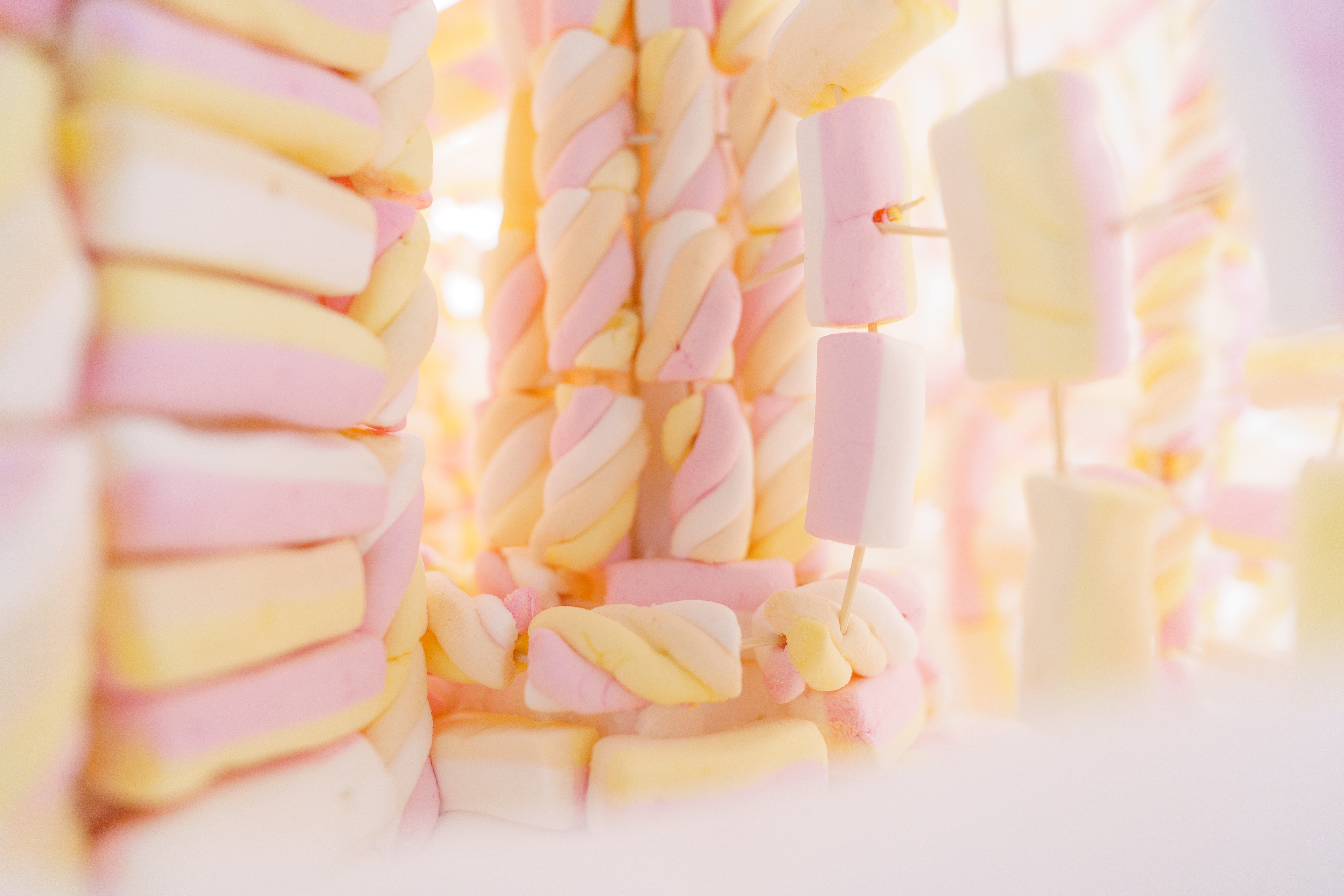 fotografie Filip Švácha