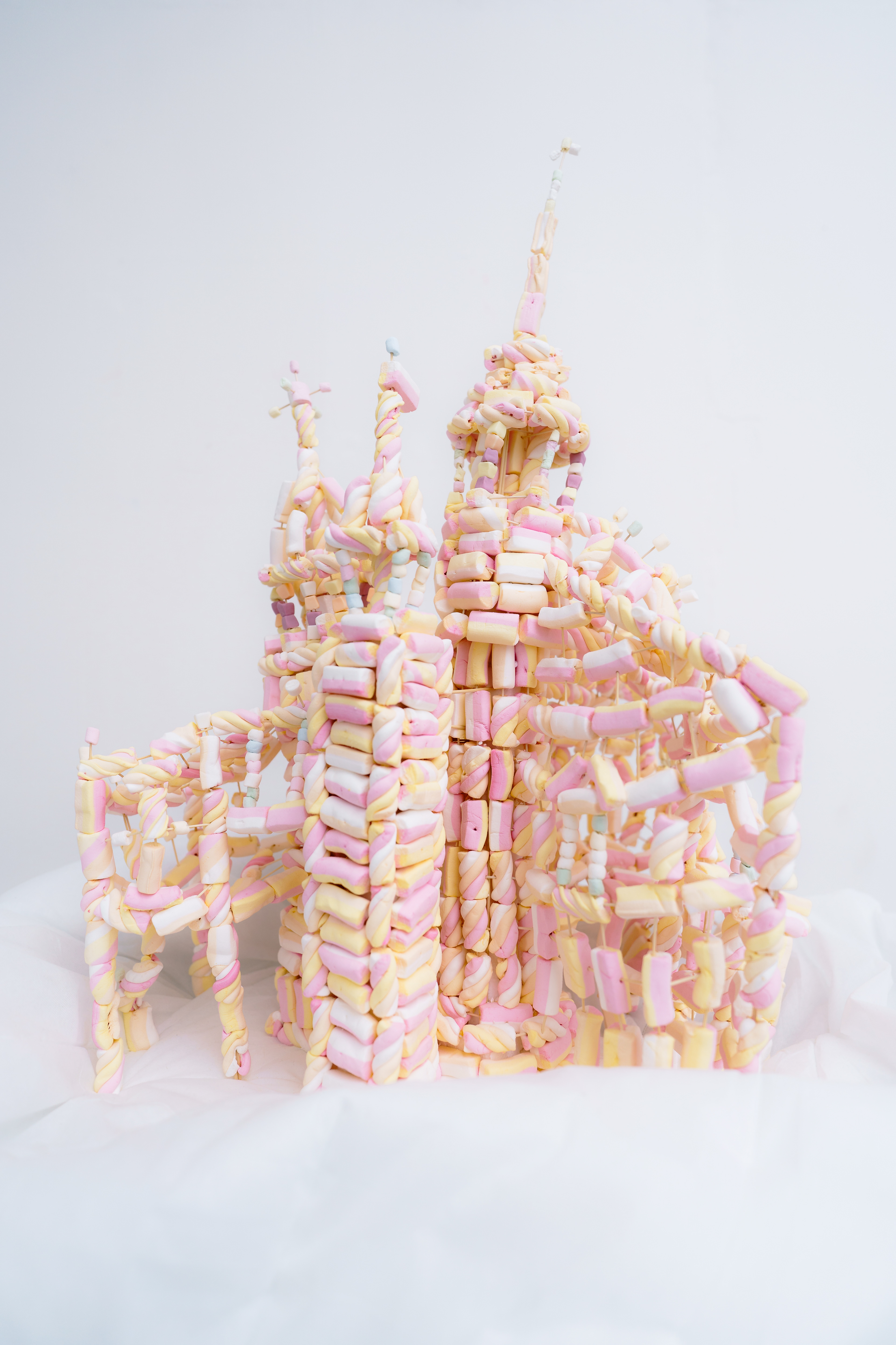 fotografie Filip Švácha