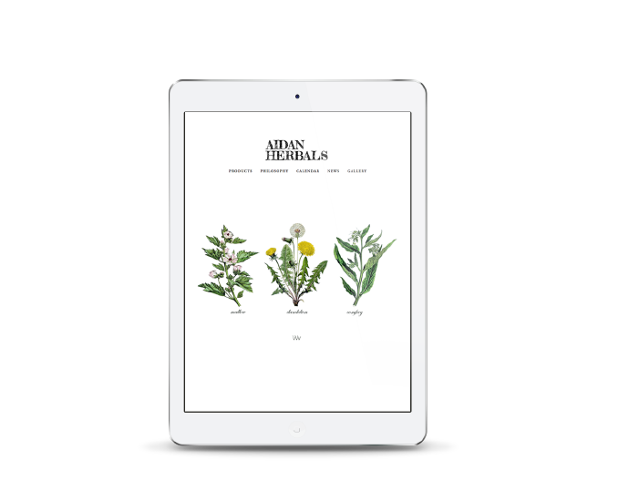Tyler Rudick - Valley House Design, Rockford IL - Web Design & Logo Design by Tyler Rudick