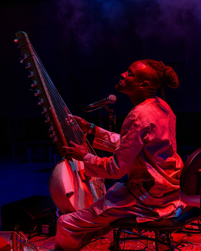 Concert & Live Music