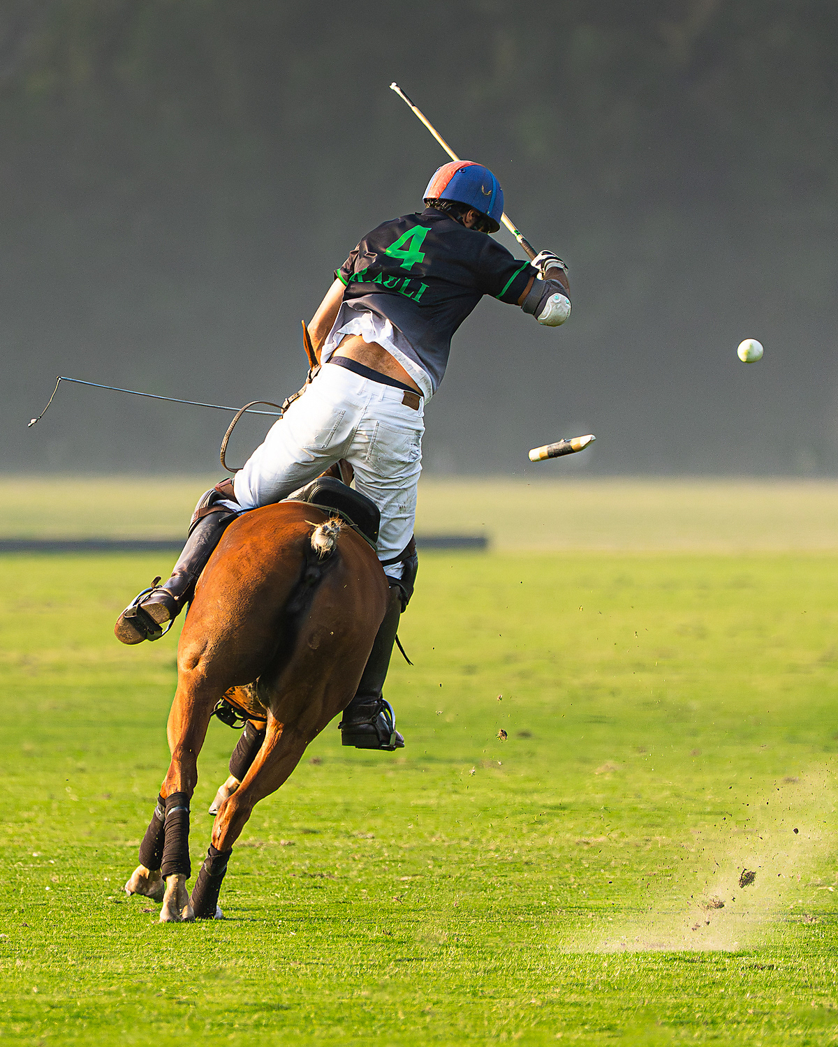 Sports