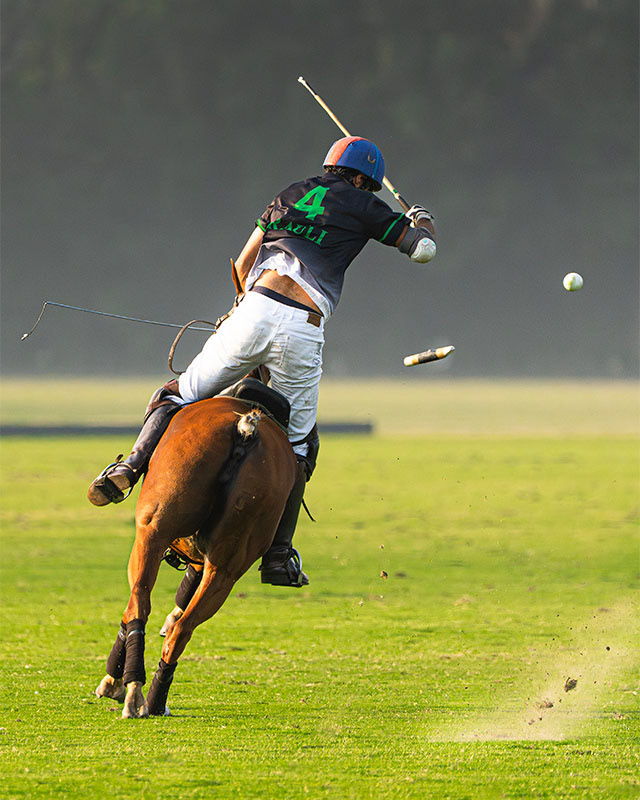 Sports & Action
