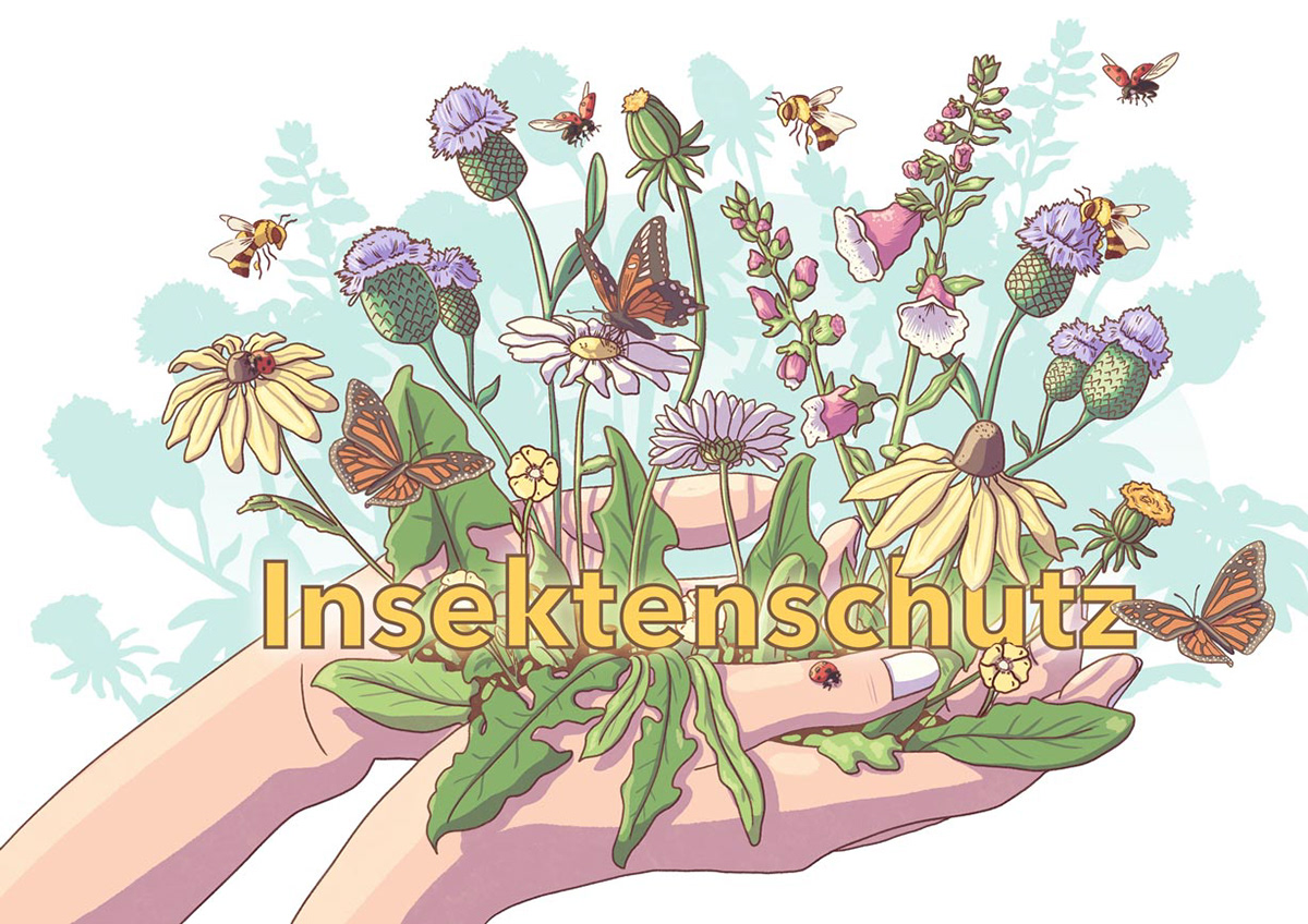 Insektenschutz