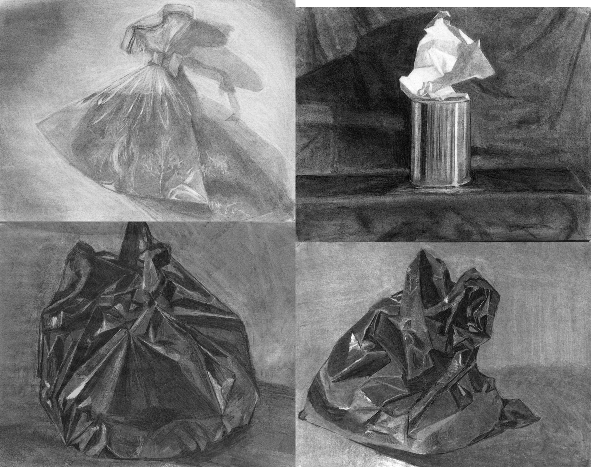 Various studies; Charcoal