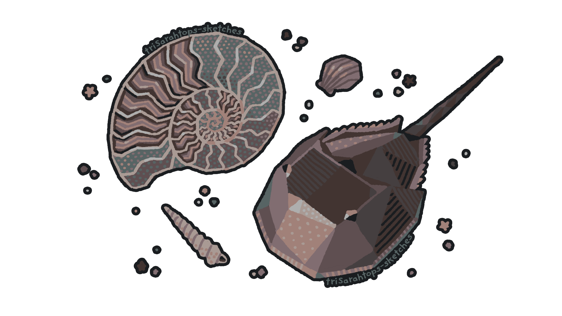 Living & Nonliving Fossils; Digital