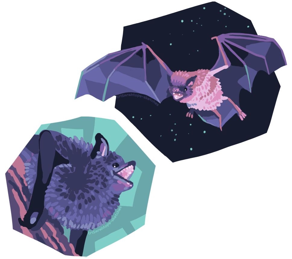 Colorful bats; Digital