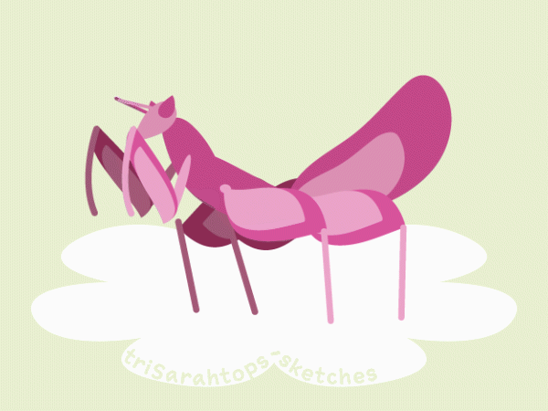 Dancing Orchid Mantis