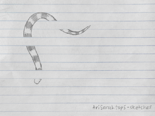 Living Doodle