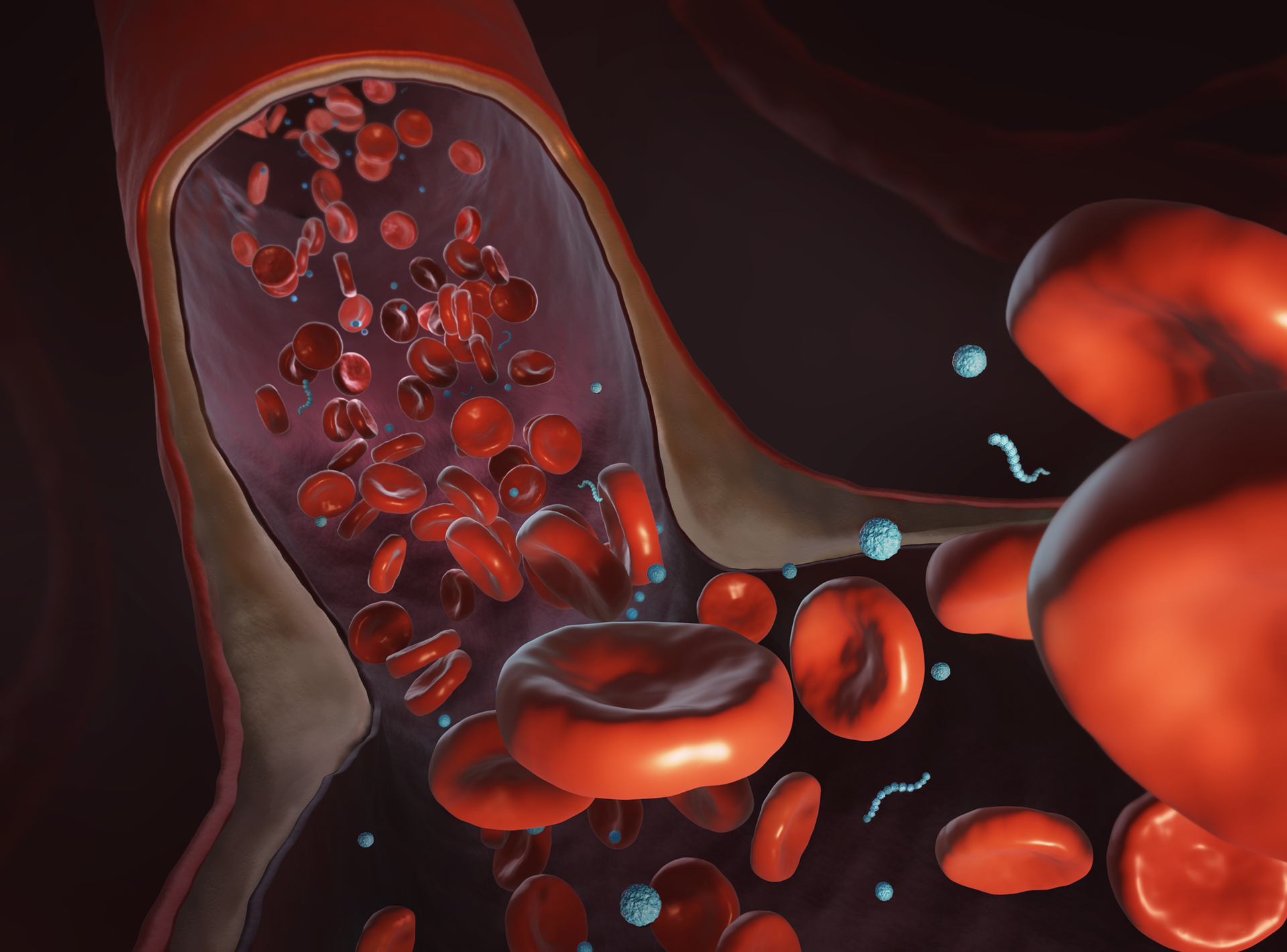 Nanoparticles & Nanoworms in Blood Vessel