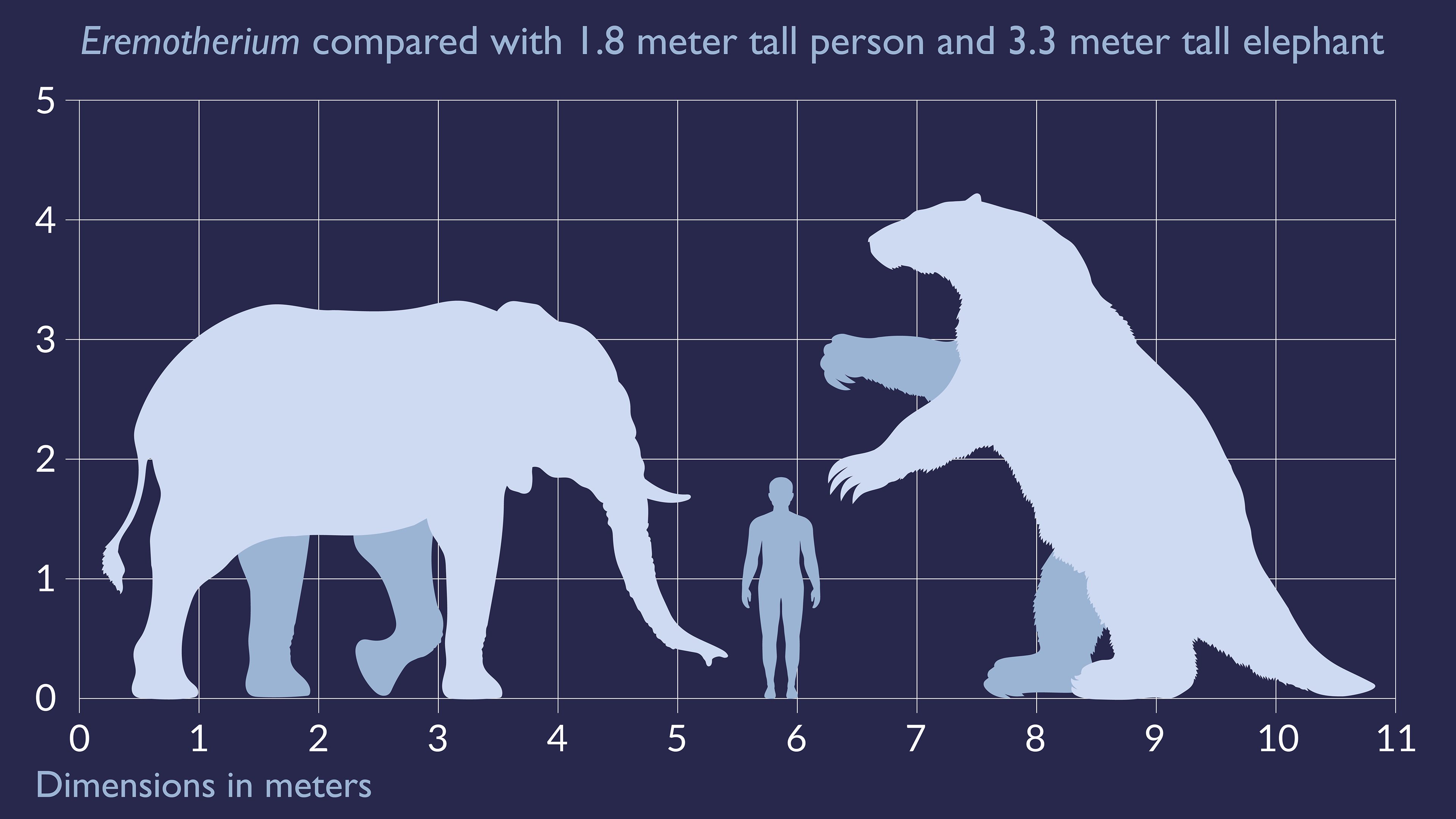 Eremotherium (Prehistoric Sloth) Diagram