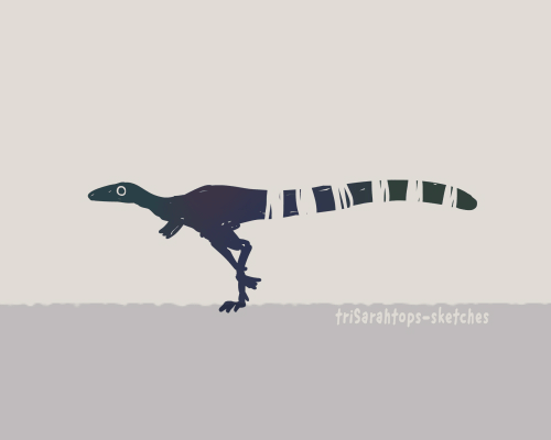Dinosaur Run