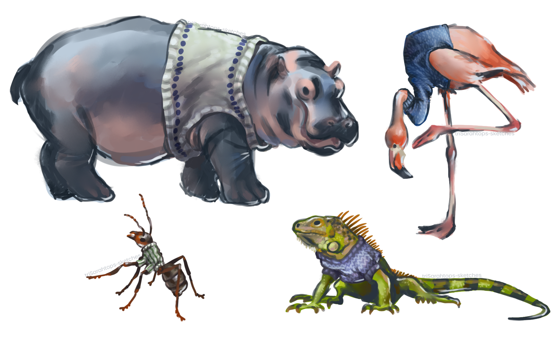 Animal Studies (with sweaters); Digital