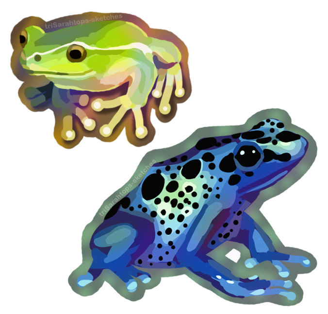 Frogs; Digital