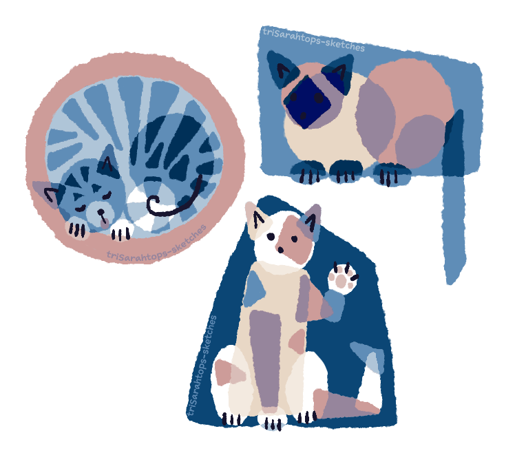 Catshapes; Digital