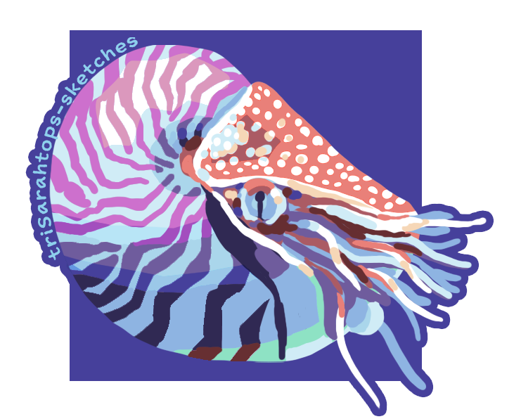 Nautilus; Digital