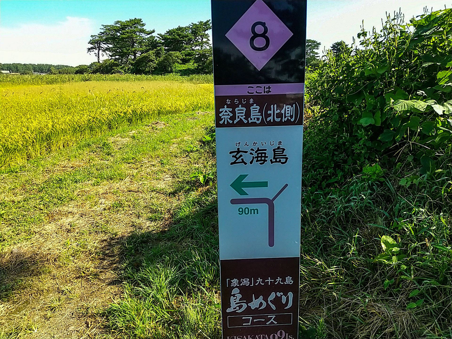 8