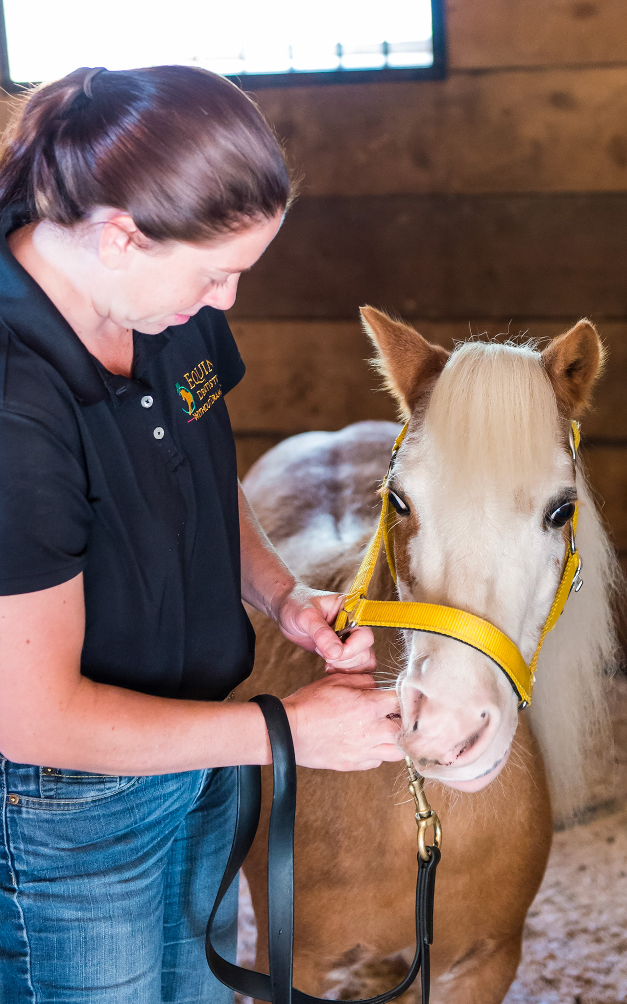 5/6 Now all the fingers but not the thumb are in the mouth.  Melissa si gently pulling the head towards her as she makes the connection tighter using her core.  This takes the energy out of the hand and away from the horse.