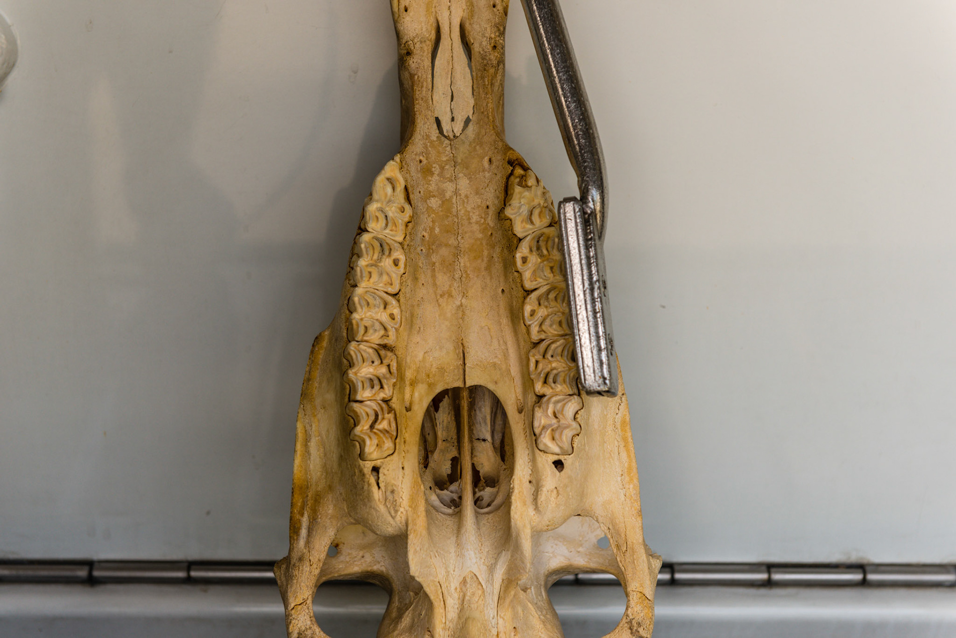 No yaw - blade is parallel to the arcade.