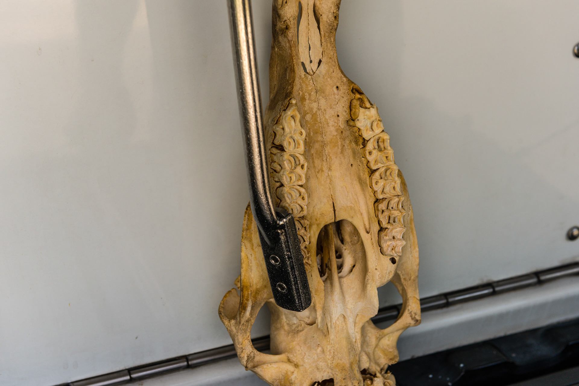 Now the long float yaws in and remains parallel to finish the arcade.